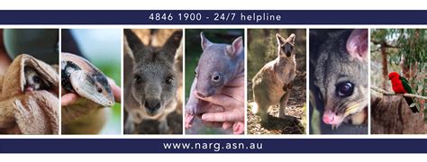 RaffleTix | Raffles by Native Animal Rescue Group Inc