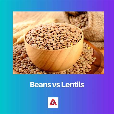 Beans vs Lentils: Difference and Comparison