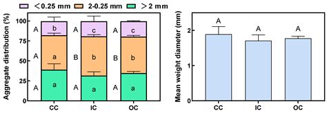 Long-Term Organic Cultivation in Greenhouses Enhances Vegetable Yield ...