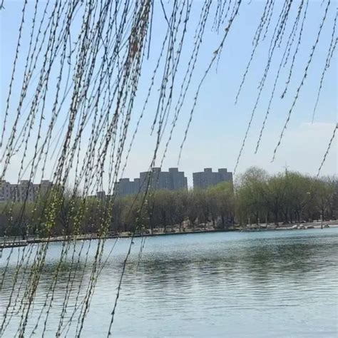 Image result for Redis HyperLogLog