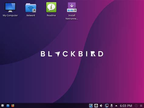 Image result for How to Install Netrunner