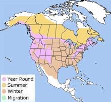 Image result for Beautiful Computer Map