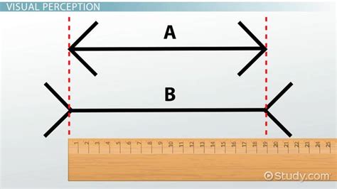 Image result for Visual Perception Examples