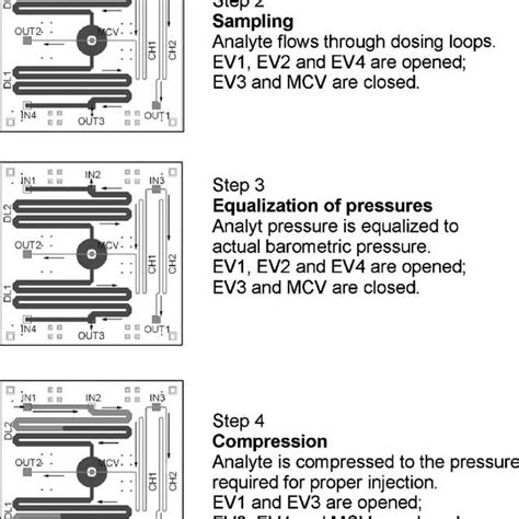 Image result for How to Use Injector