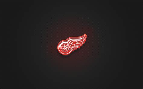 [200+] Detroit Red Wings Wallpapers | Wallpapers.com