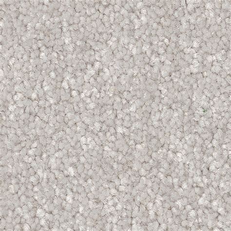 STAINMASTER (Sample) Best Intentions II Frozen Gray 53.6-oz sq yard ...