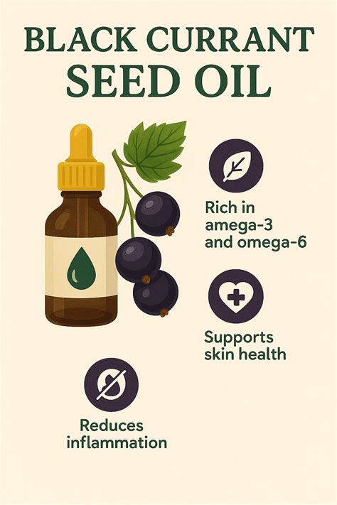 black currant seed oil-benefits - Body in Harmony Products