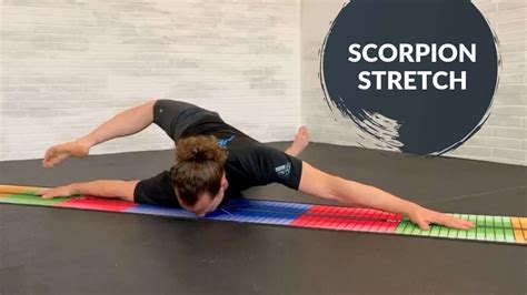 Image result for Scorpion Stretch Tutorial