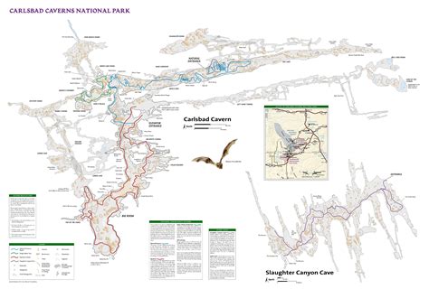 Carlsbad Caverns Maps