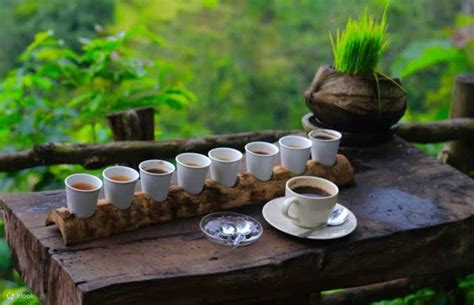 Bali's Authentic East - Klook