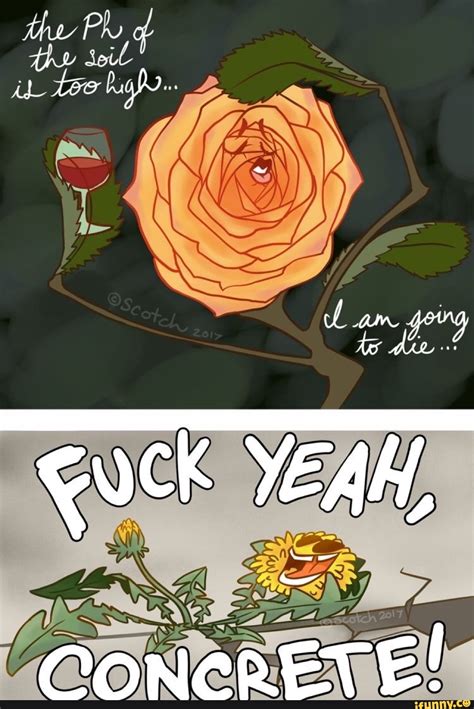 The Soil! am org Guck YEAH, CONCRETE! - iFunny Brazil