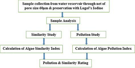 Work Sampling Methodology 的图像结果