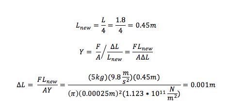 Image result for Spring Ball Model