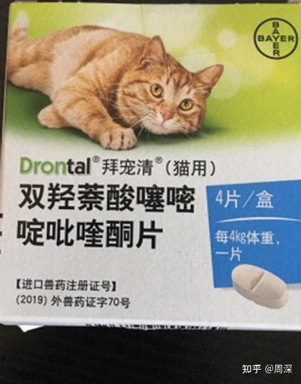 猫咪发烧，吃了主人的退烧药致死！这些东西千万别让猫碰_用药