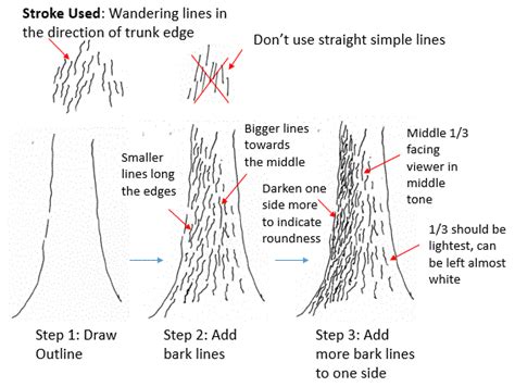 Image result for How to Draw Tree Trunks