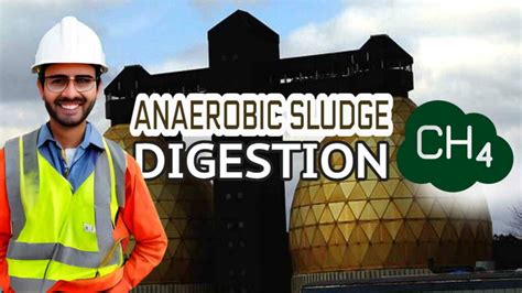 Sludge Digestion 的图像结果