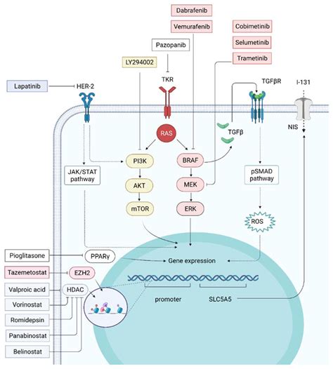 State of the Art in the Current Management and Future Directions of ...