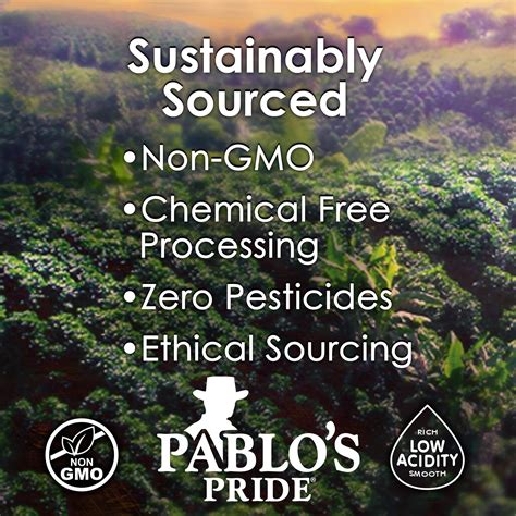 Pablo’s Pride Guatemala Coffee – Don Pablo Coffee