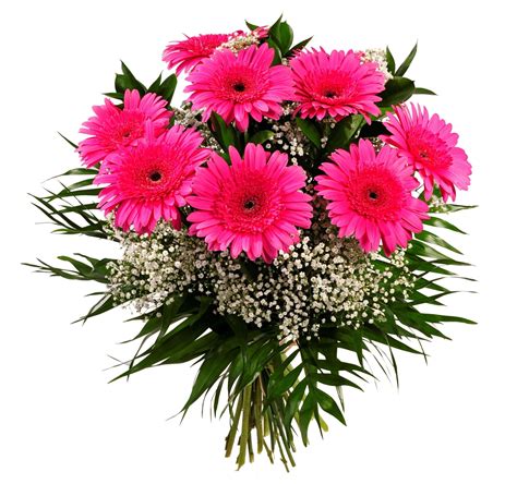 10 PINK GARBERA BOUQUET | CakeGift.in