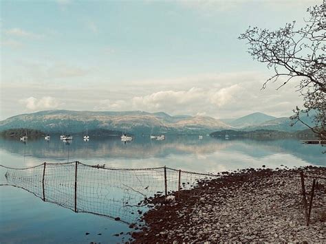 MILARROCHY BAY CAMPING AND CARAVANNING CLUB SITE (Balmaha) - Campground ...