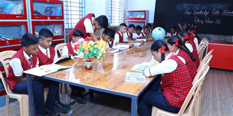 New Cambridge Public School