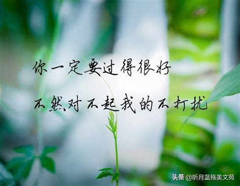 一切安好图片带字唯美(愿你一切安好唯美句子)-美文社