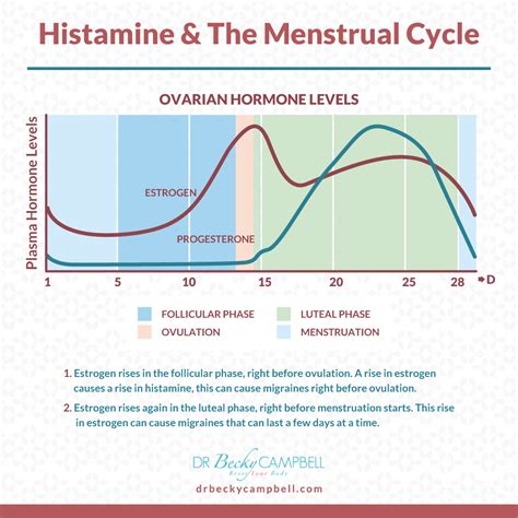 Migraines and Histamine Intolerance | Menstrual migraines, Migraine, Pmdd