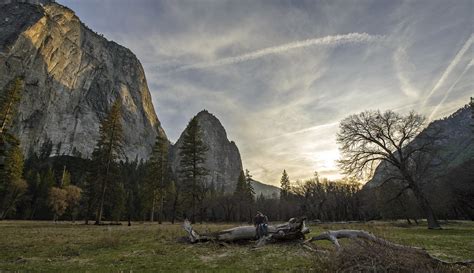 El Capitan Meadow « TravelJapanBlog.com