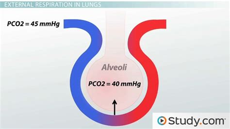Image result for PCO2 Sensor Working