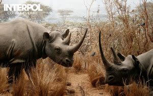 Music Interpol HD Wallpaper Background Fine Art Print - Music posters ...