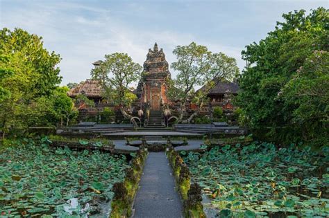 THE CAFE LOTUS, Ubud - Menu, Prices & Restaurant Reviews - Tripadvisor