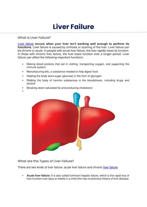Image result for Liver Function Fuites