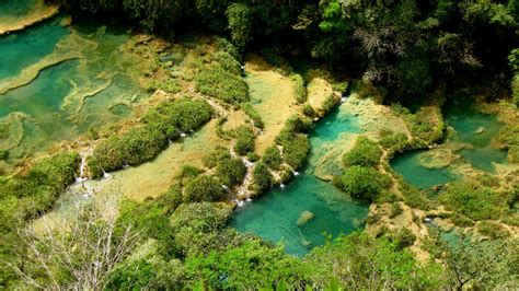 Semuc Champey - Natural Wonder of Guatemala | Semuc champey, Places to ...
