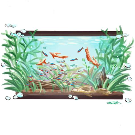 Image result for Monty Python Fish Tank Sketch
