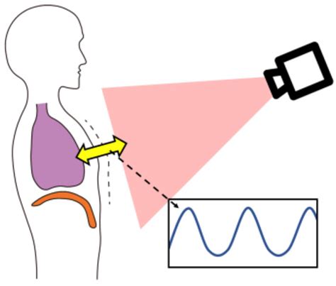 A Real-Time Remote Respiration Measurement Method with Improved Robustness Based on a CNN Model