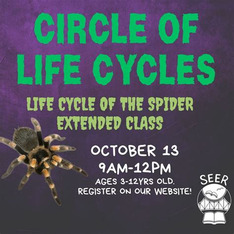 Life Cycle of the Spider - Extended Class, 113 Hermitage Dr, Florence ...