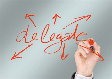 delegation 的图像结果