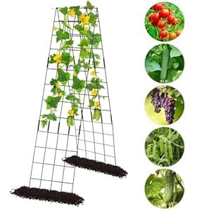 ecofynd Foldable A-Frame Garden Trellis for Climbing Plants Outdoor ...