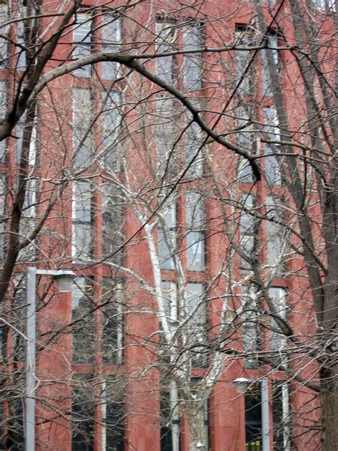 Image result for NYU Library