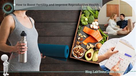 How to Boost Fertility and Improve Reproductive Health - Lab Tests Guide Blog
