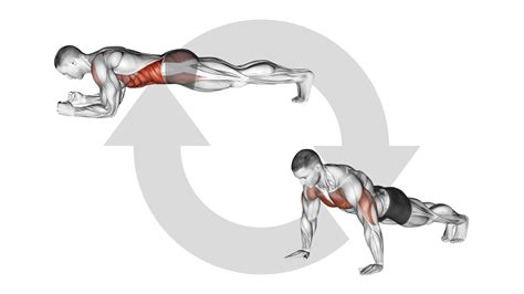 Rezultat imagine pentru Exercice Musculation Commando