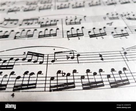 Musical Sheet Music Notes 的图像结果