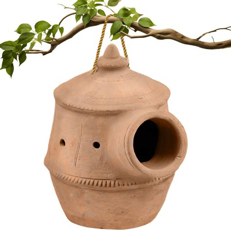 BirdShala Bird Nest For Sparrow - Attractive, Natural & Safe Hanging ...