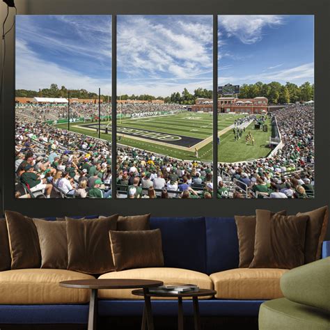 University of Charlotte 49ers Football Team Print - Charlotte Jerry Ri ...