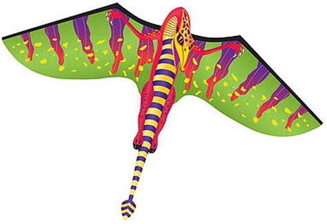 Ready-to-Fly Mini Mylar Pterodactyl Kite by WindNSun India | Ubuy