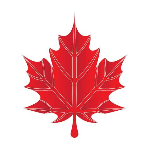 Image result for Vector File of Maple Leaf