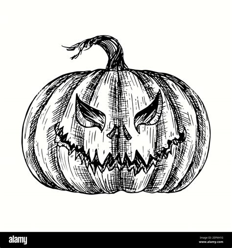 Halloween pumpkin Jack-o-lantern. Ink black and white drawing Stock ...