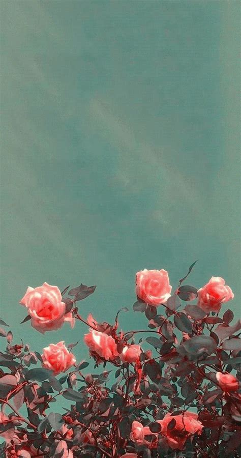 Gif Wallpaper Iphone Aesthetic