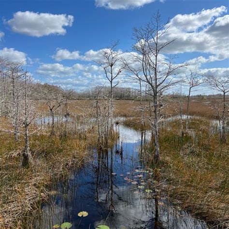 Get Outside with FWF: Grassy Waters Preserve