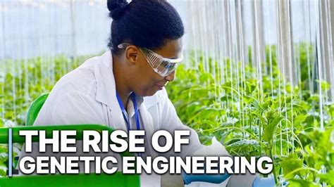 Image result for Genetic Modification Documentary